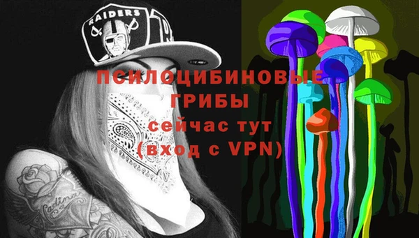 ECSTASY Зеленодольск
